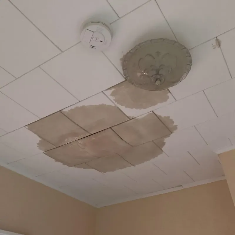 Ceiling Water Damage Repair in Mercerville-Hamilton Square, NJ