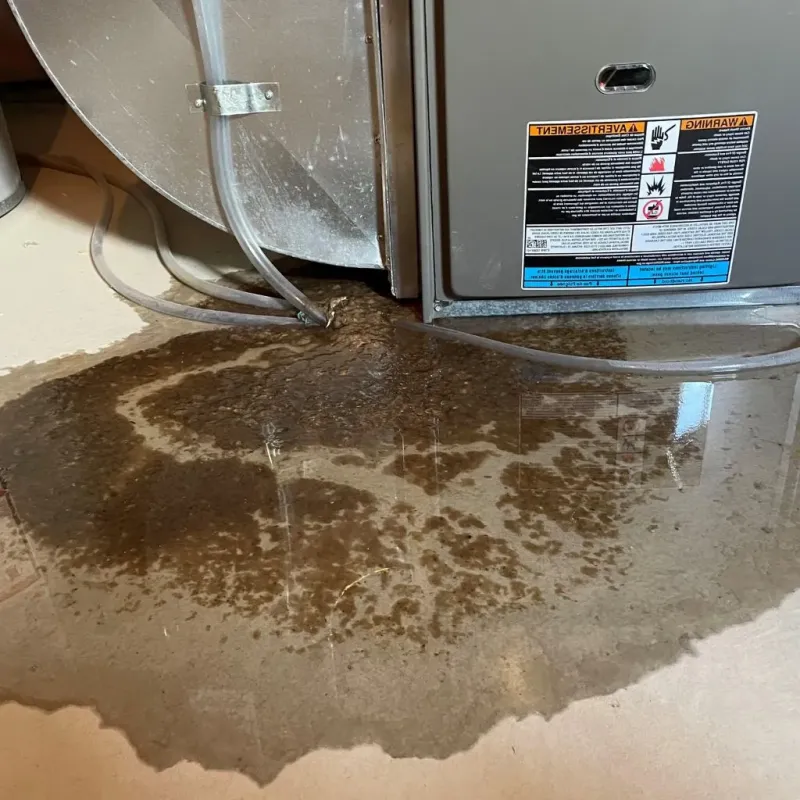 Pipe Burst and Leak Restoration in Mercerville-Hamilton Square, NJ